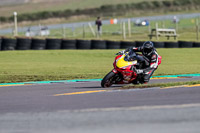 PJ-Motorsport-2019;anglesey-no-limits-trackday;anglesey-photographs;anglesey-trackday-photographs;enduro-digital-images;event-digital-images;eventdigitalimages;no-limits-trackdays;peter-wileman-photography;racing-digital-images;trac-mon;trackday-digital-images;trackday-photos;ty-croes